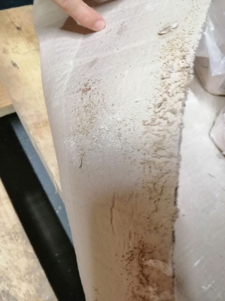 Výskyt škodcov na predajnom mieste múky.