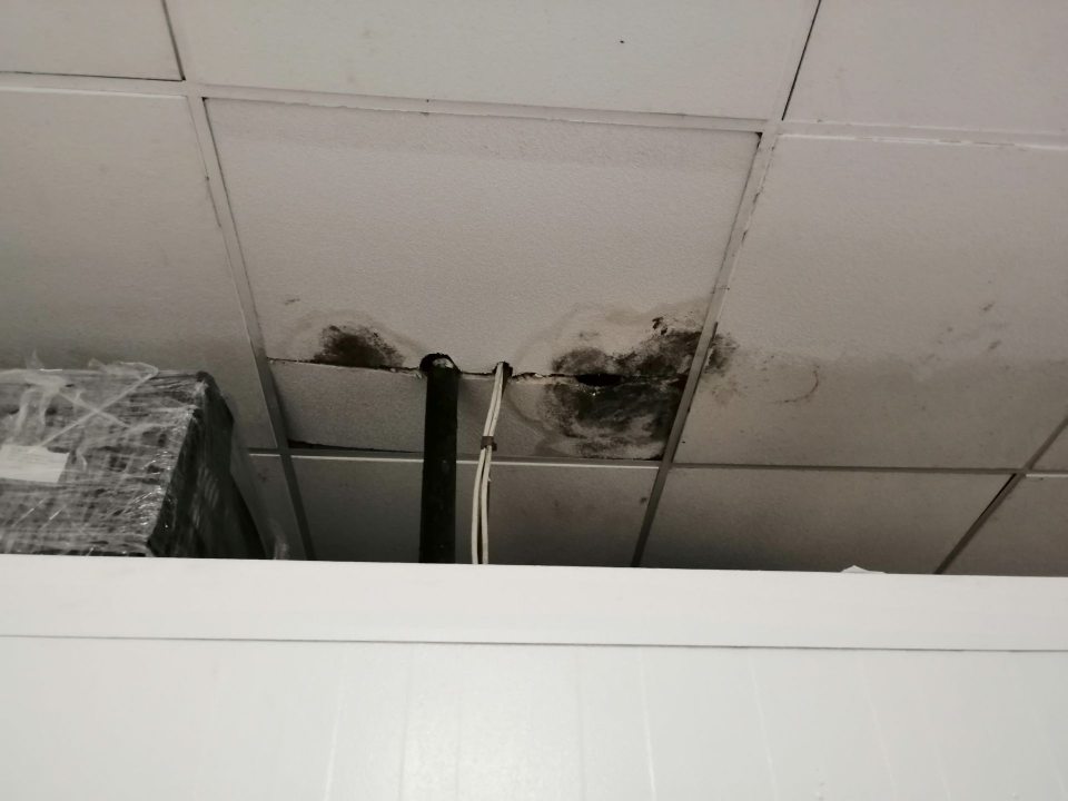 Zatečená stropná kazeta s výrazným výskytom plesne.