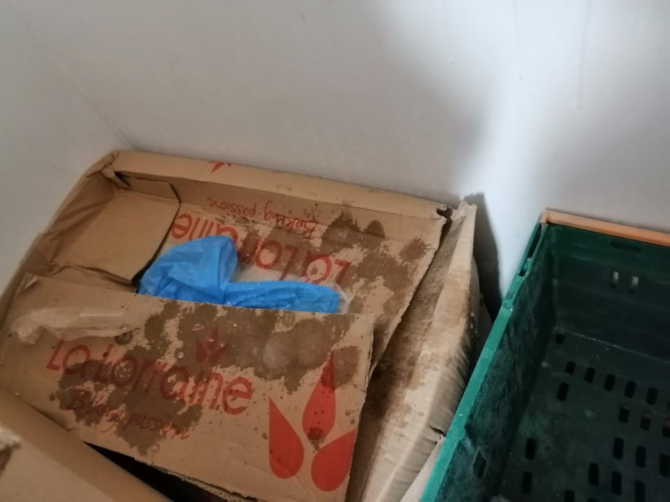 Kvapkajúci kondenzát zo stropu na kartónové obaly s hlbokozmrazenými pekárskymi polotovarmi v mraziacom boxe.