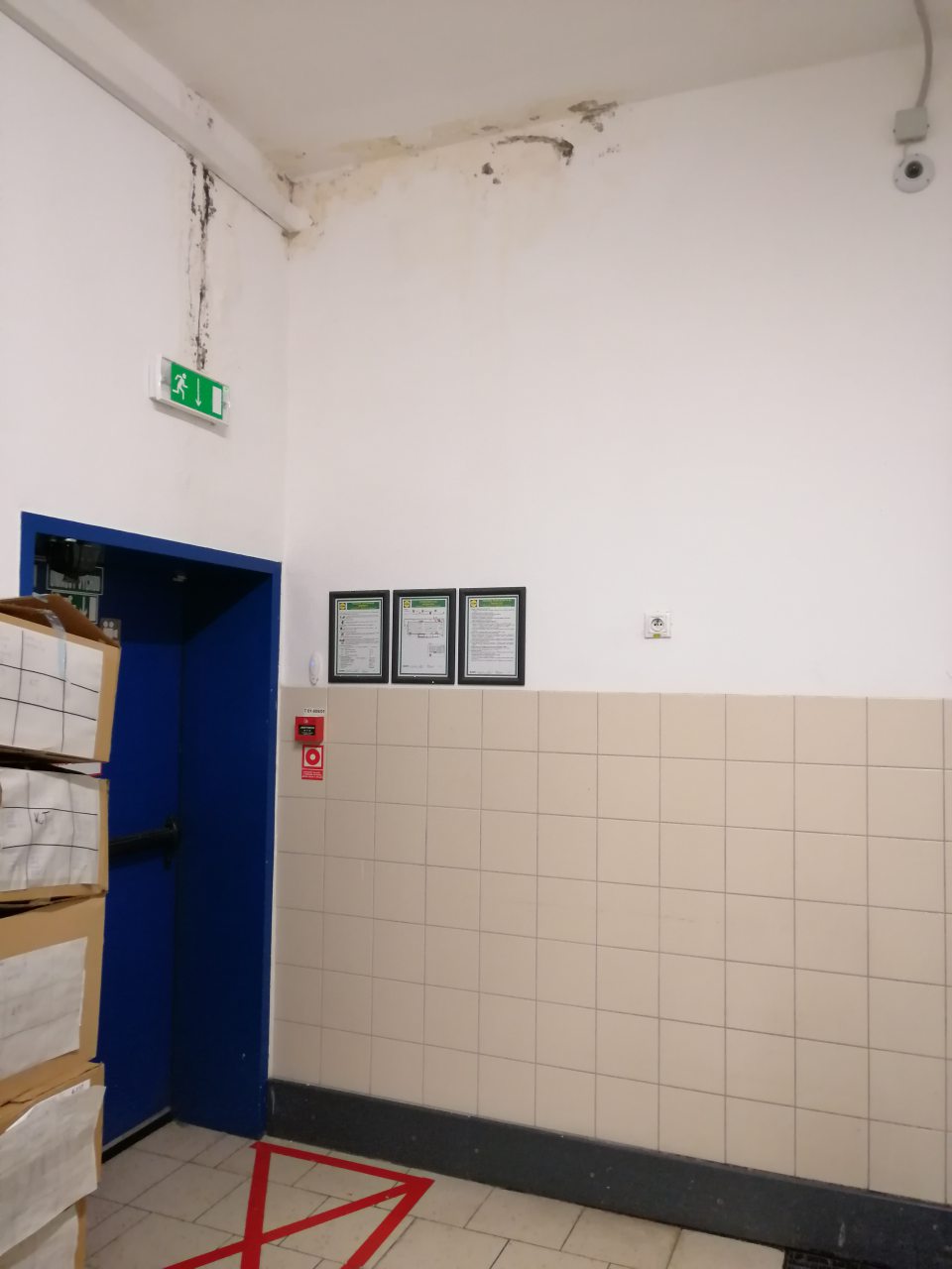 Zatečená stena s výskytom plesne v kúte nad únikovým východom.