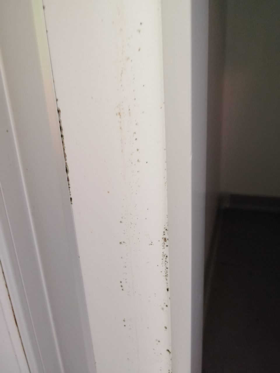 Znečistená zárubňa s výskytom plesne chladiaceho boxu lahôdok.