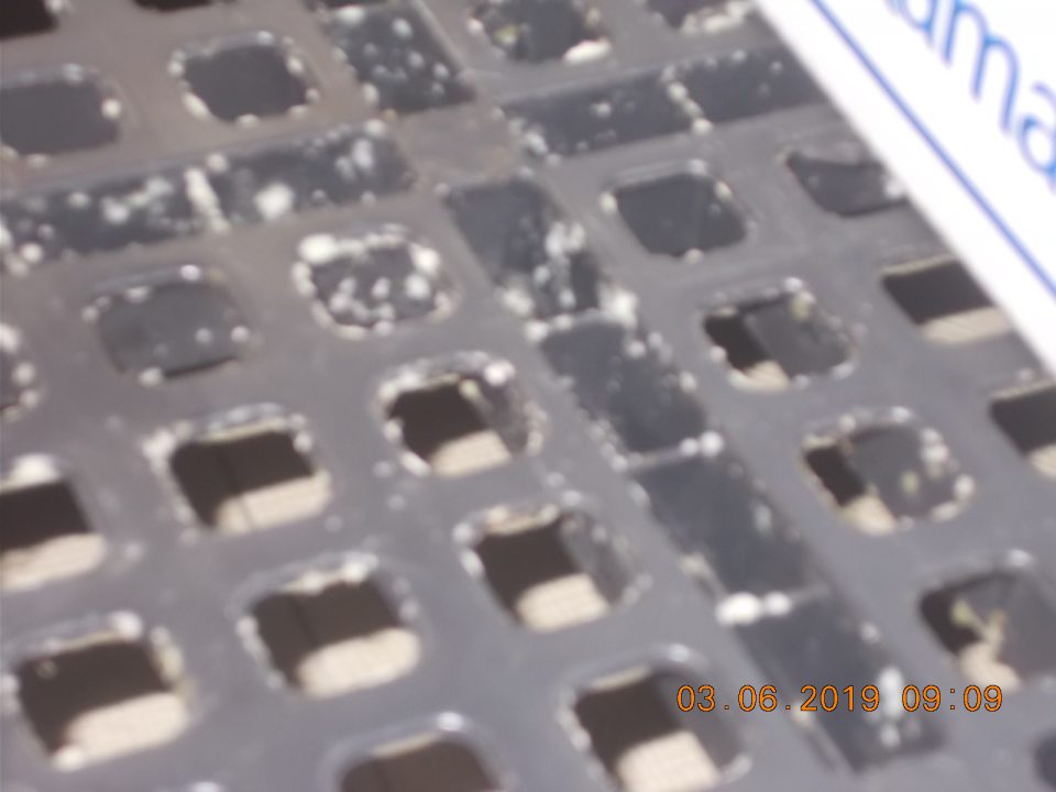 Znečistená plastová podložkav chladiacom boxe mlliečnych výrobkov bielou špinou pravdepodobne plesňou.