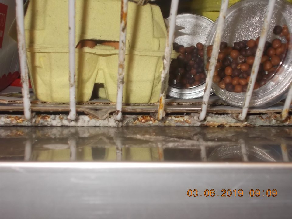 Znečistený regál v chladiacom boxe mliečnych výrobkov bielou špinou pravdepodobne plesňou.