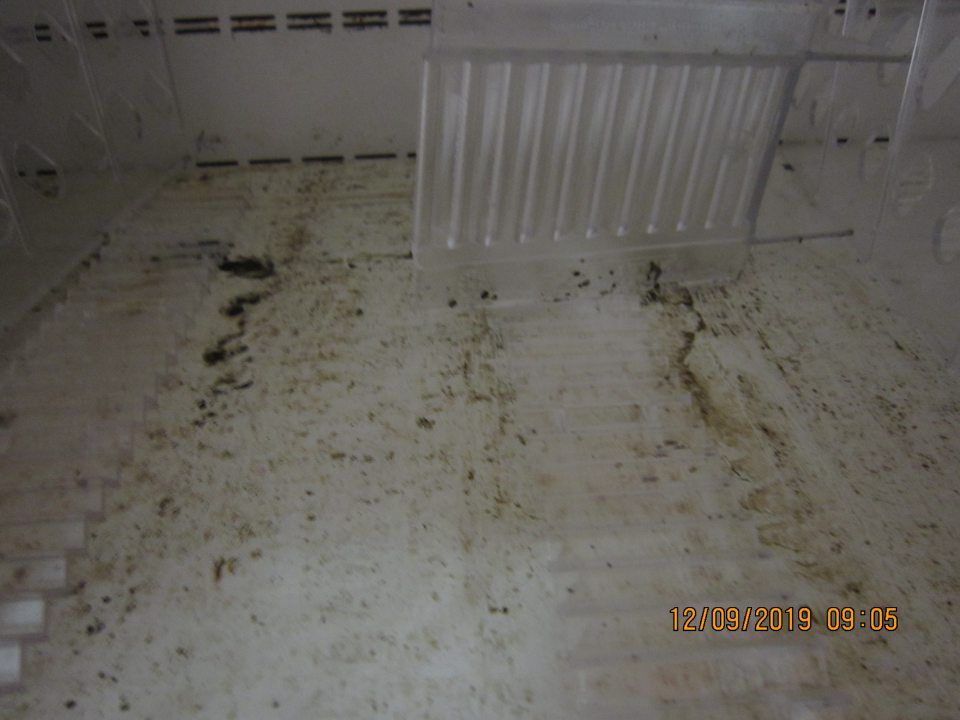 Znečistené regále v chladiacej vitríne na mäsové výrobky čiernou špinou, zbytkami potravín.