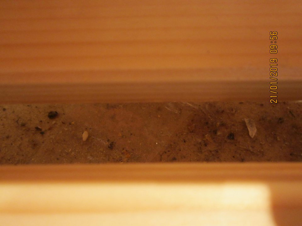 znečistené regále pod balenými vianočkami zbytkami pečiva a zhlukov prachu, spodné časti regálov pod mriežkami sú nadmerne znečistené hrubou vrstvou posypov z pekárenských výrobkov a suchými omrvinkami z pečiva na úseku uloženia pekárenských výrobkov z dopeku