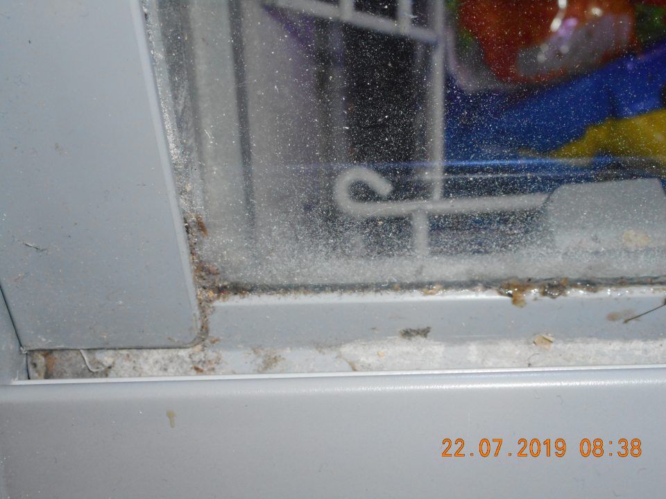 Znečistené zásuvné dvierka na mraziacom boxe.