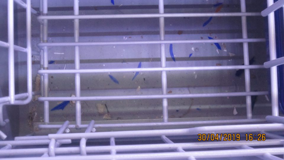 Mraziace zariadenie silne znečistené.