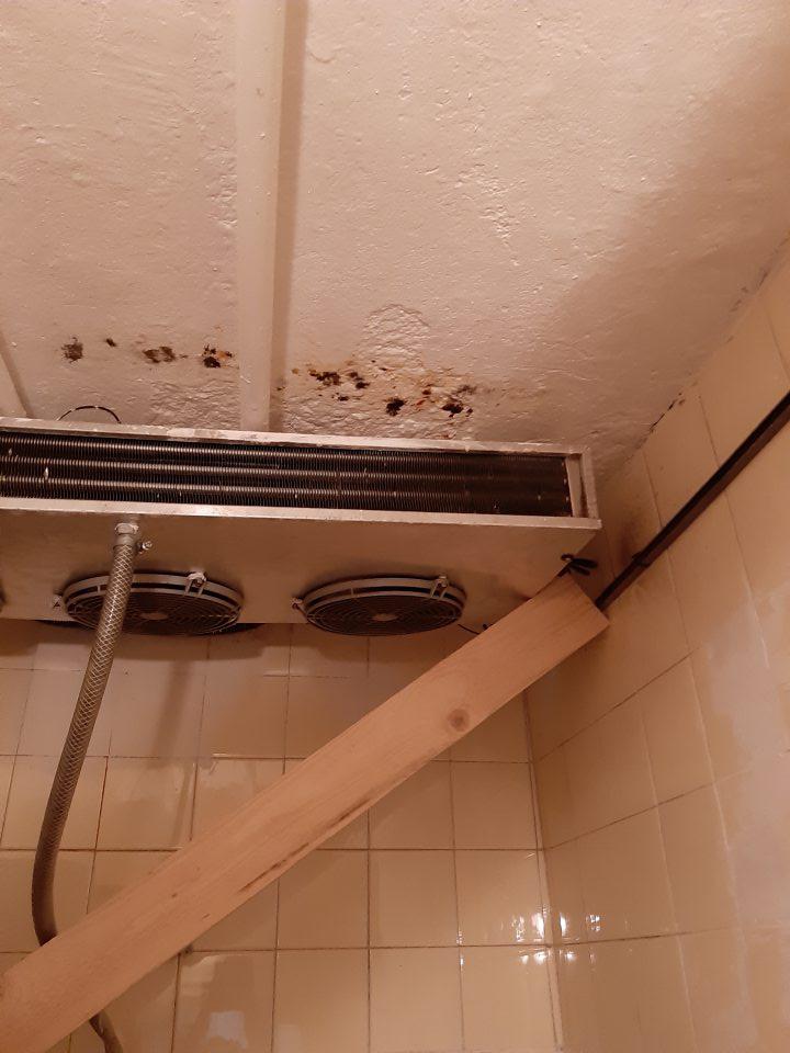 Znečistený strop nad chladiacou jednotkou s výskytom plesne v chladiacom boxe v sklade.