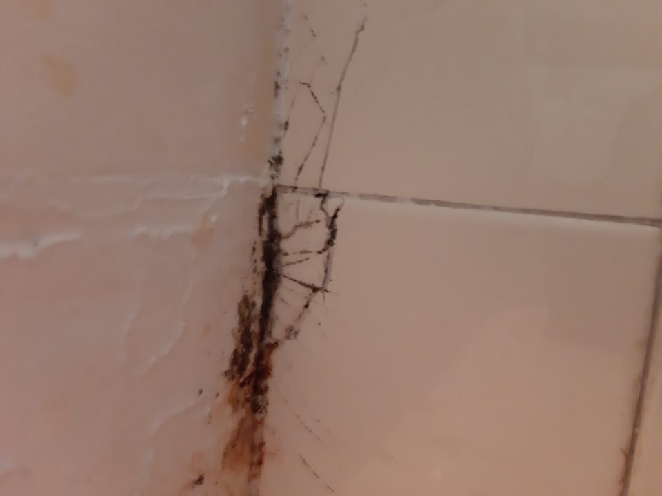 Porušená celistvosť obkladu nad dverami s výskytom plesne v chladiacom boxe v sklade.