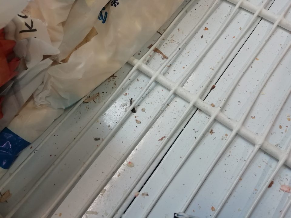 Znečistená ložná
plocha mraziaceho zariadenia.