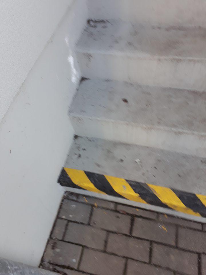 Na schodíkoch pred zadným vstupom do prevádzky výskyt formovaného trusu hlodavcov.