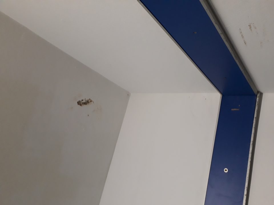 V zadnej časti manipulačnej chodby je zatečený strop s poškodenou hygienickou maľovkou.