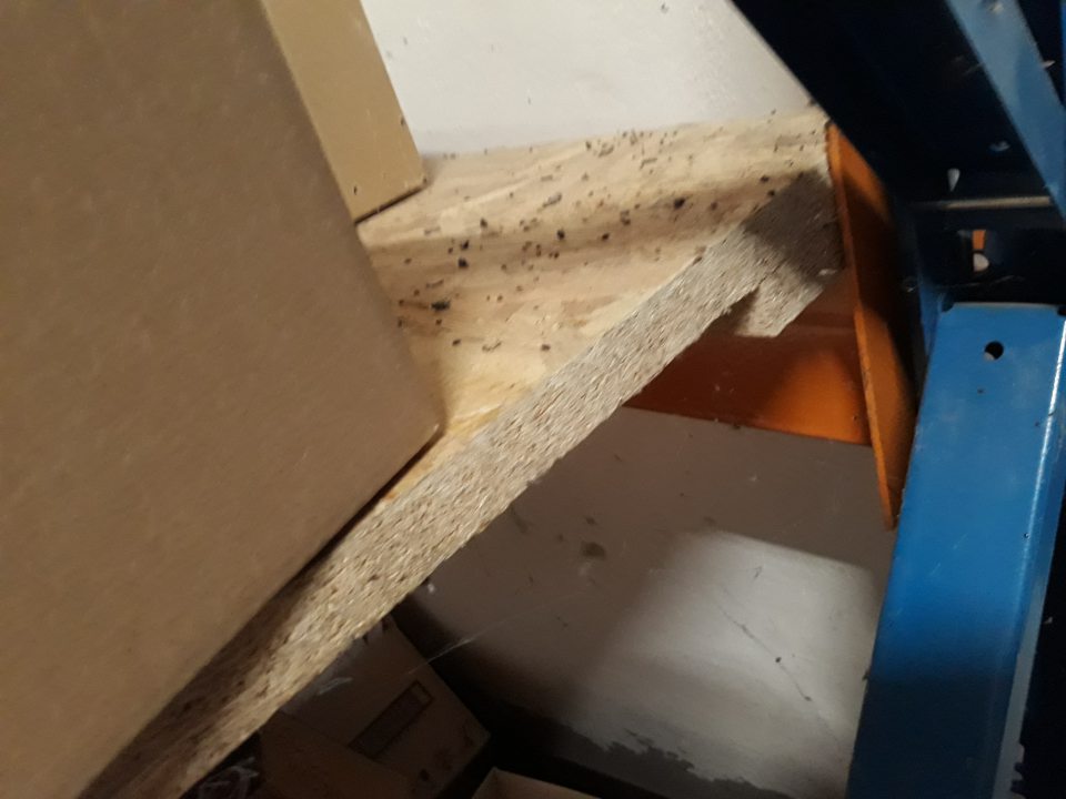  Trus hlodavcov vyskytujúcich sa na viacerých miestach skladu vrátane priestorov s vyradeným tovarom, ktorý je skladovaný neusporiadane.