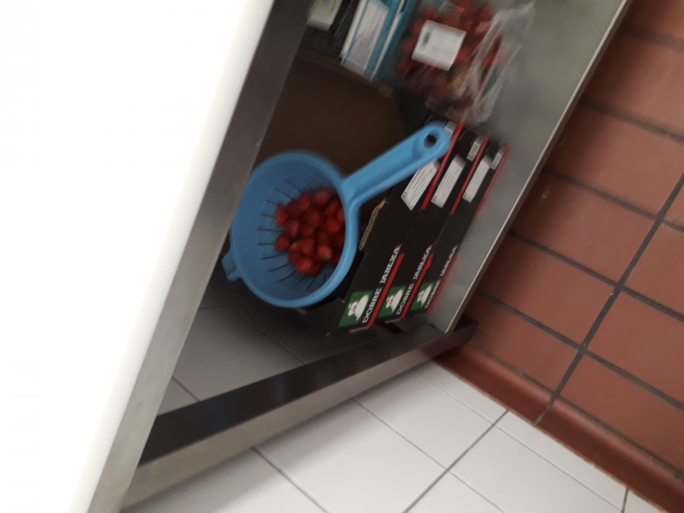 Čerstvé jahody ako surovina pre výrobu ovobaru skladované v sitku v kartzóne od jabĺk.