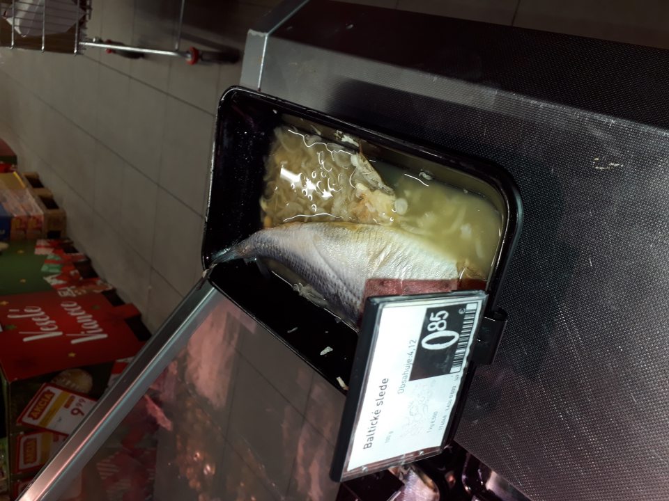 Baltický sleď, 1 ks, 0,246 kg v cene 2 €, nepredložená evidencia o otv.obalu, plast. vedierka,z ktorého bol vybartý, na jeho dne zaznamenaná pleseň.