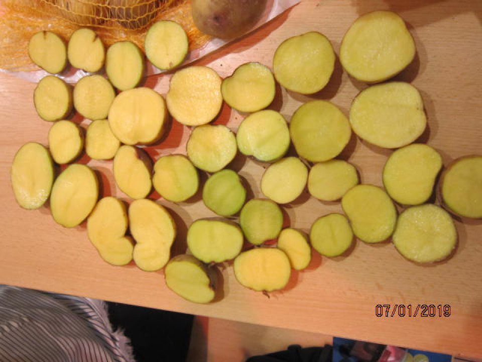 Konzumné zemiaky zelené