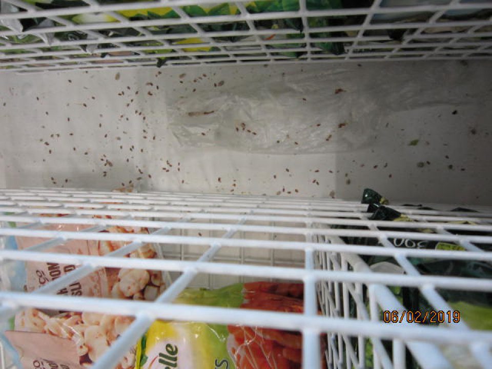 mraziaci pult v predajni je znečisteny