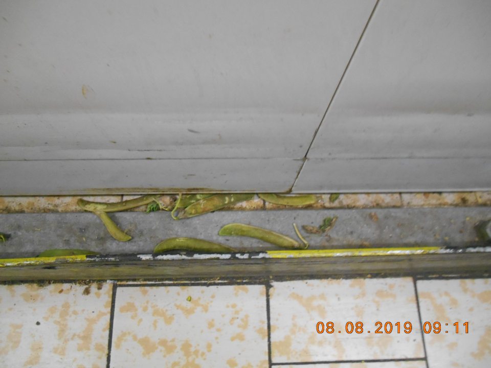 V skladovacej časti prevádzky znečistená podlaha v blízkosti mraziaceho boxu (kúsky papiera, hráškové struky, prach).