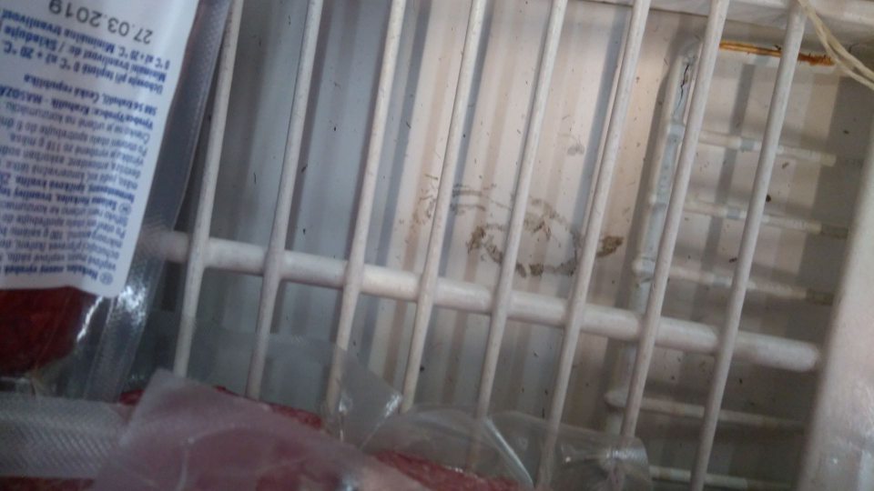 Hrubé znečistenie mraziaceho zariadenia na predajnej ploche.