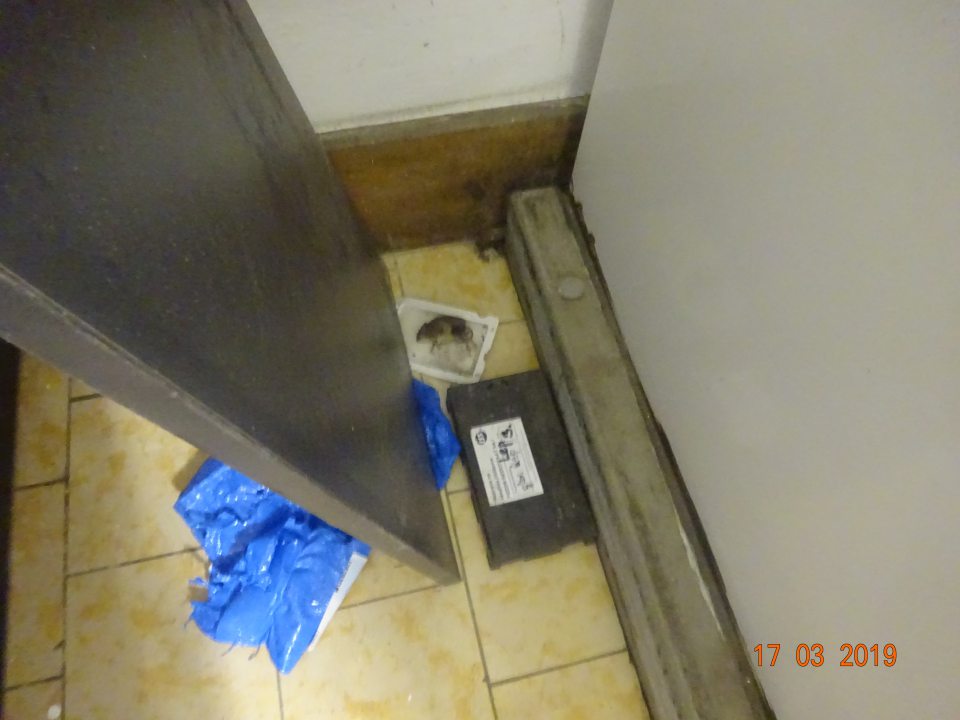 V čase kontroly bola v skladových priestoroch zistená prítomnosť hlodavca (myši) - uhynutý jedinec sa nachádzal za chladiarenským zariadením.