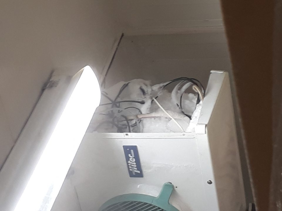 hrubá vrstva namrznutého ľadového povlaku na chladiacom agregáte v chladiacom zariadení v zázemí predajne