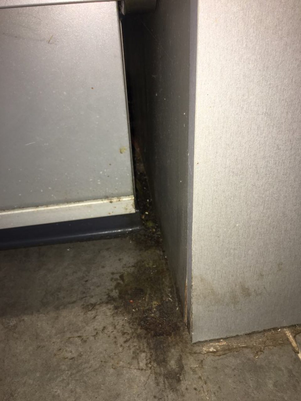 Nedostatočná hygiena podláh na predajnej ploche.