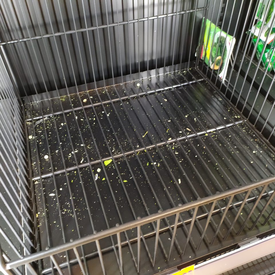 Spodné police mraziacich zariadení znečistené drobnými nečistotami, zvyškami potravín resp. obalovým materiálom.