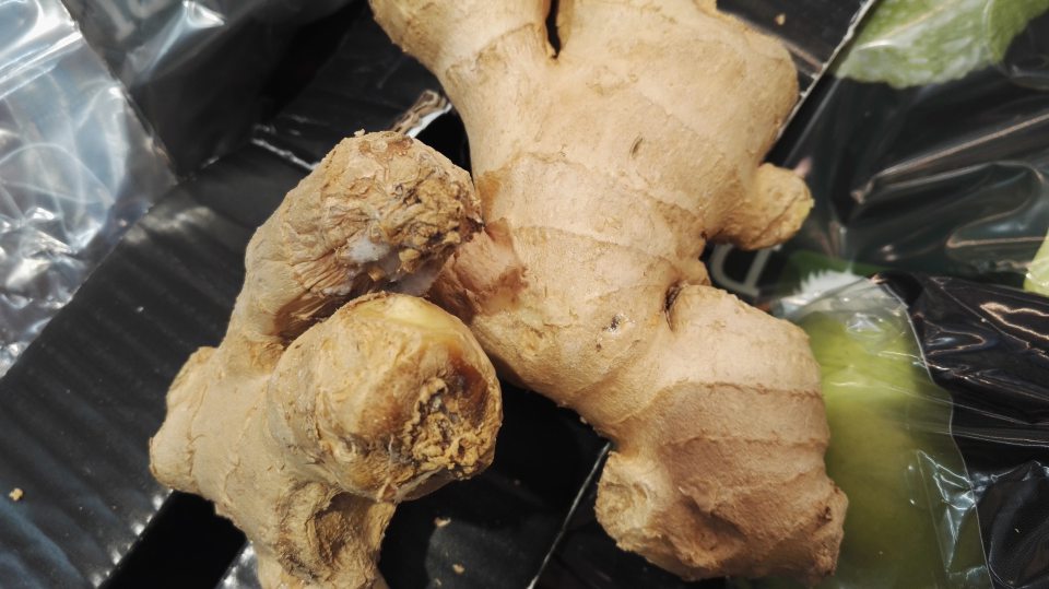 Prítomnosť plesne na zázvore.