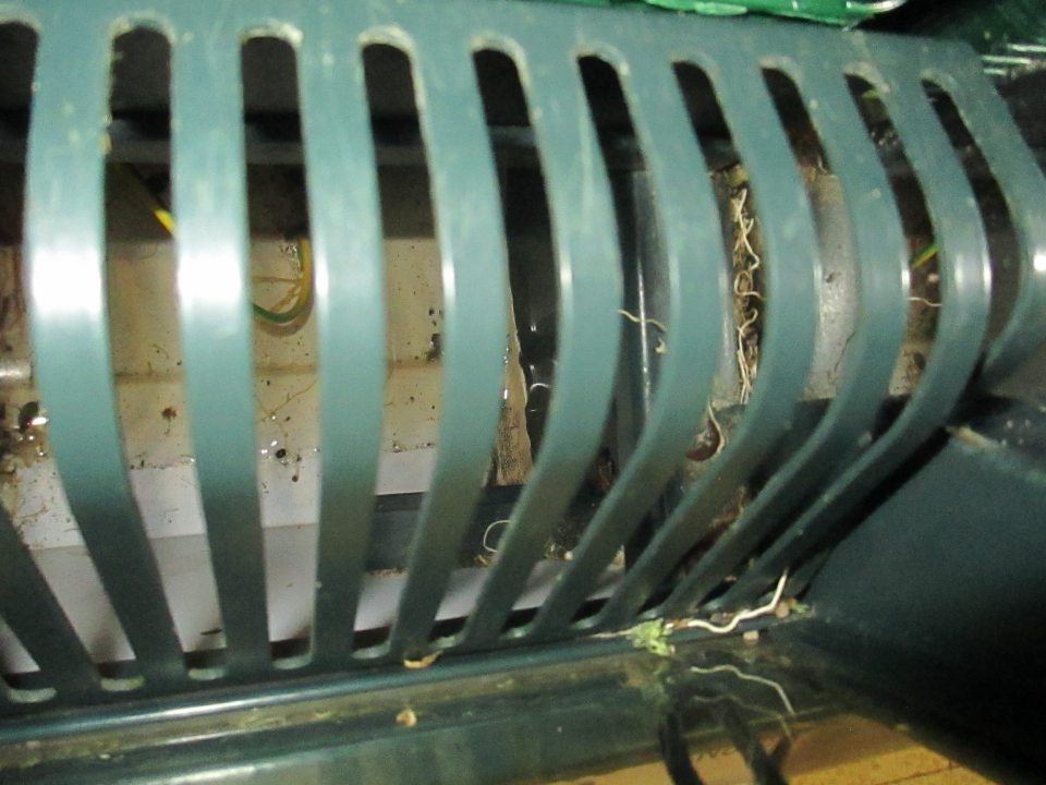 Chladiace zariadenie s ovocím a zeleninou znečistené v dolnej časti pod mriežkou zvyškami potravín a zastaralou špinou.