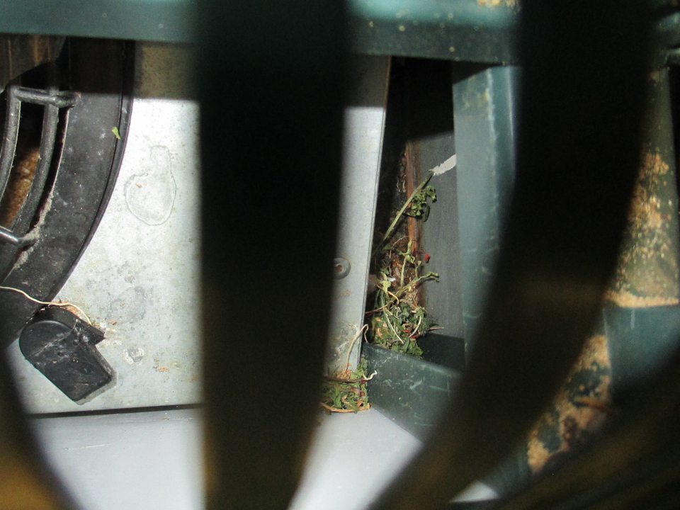 Chladiace zariadenie s ovocím a zeleninou znečistené v dolnej časti pod mriežkou zvyškami potravín a zastaralou špinou.