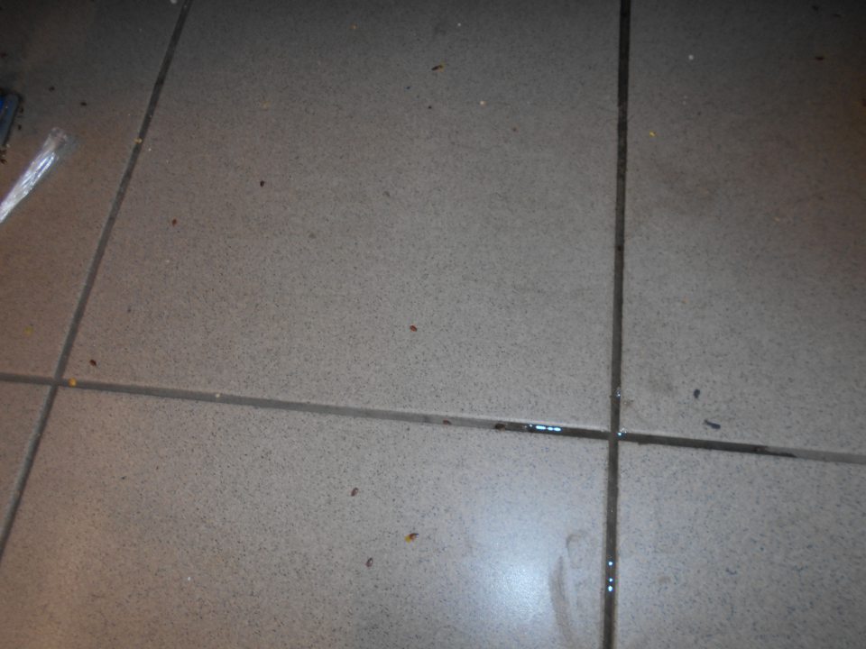 Znečistená podlaha v skladových priestoroch.