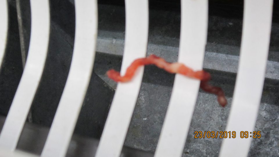 Na predajnej ploche znečistenie chladiacej vitríny na a pod mriežkou
kúskami mletého mäsa.