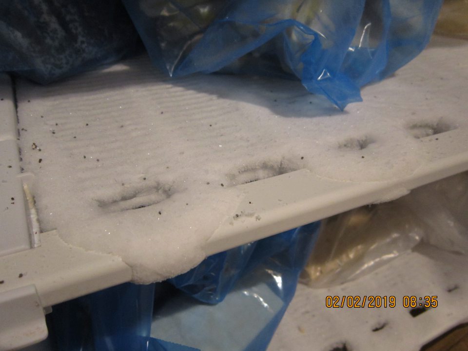 Na predajnej ploche v mraziacom boxe na úseku dopeku hlbokozmrazených pekárskych polotovarov je vrstva námrazy na policiach.