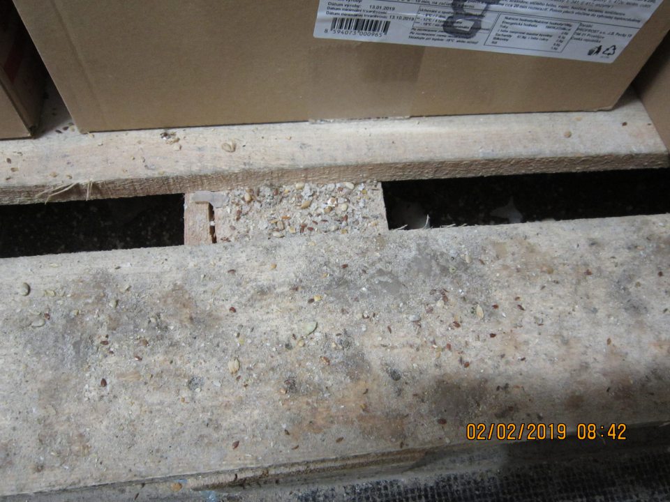 V zázemí prevádzky v mraziacom boxe s umiestnenými hlbokozmrazenými pekárskymi polotovarmi znečistená paleta.