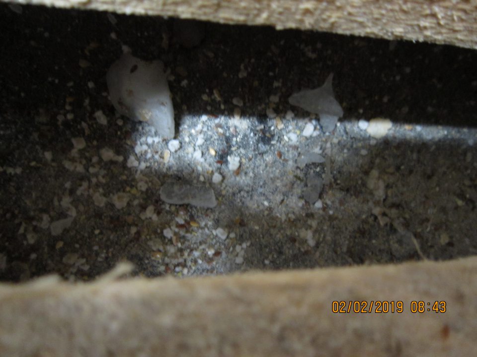 V zázemí prevádzky v mraziacom boxe s umiestnenými hlbokozmrazenými pekárskymi polotovarmi znečistená podlaha pod  paletou.