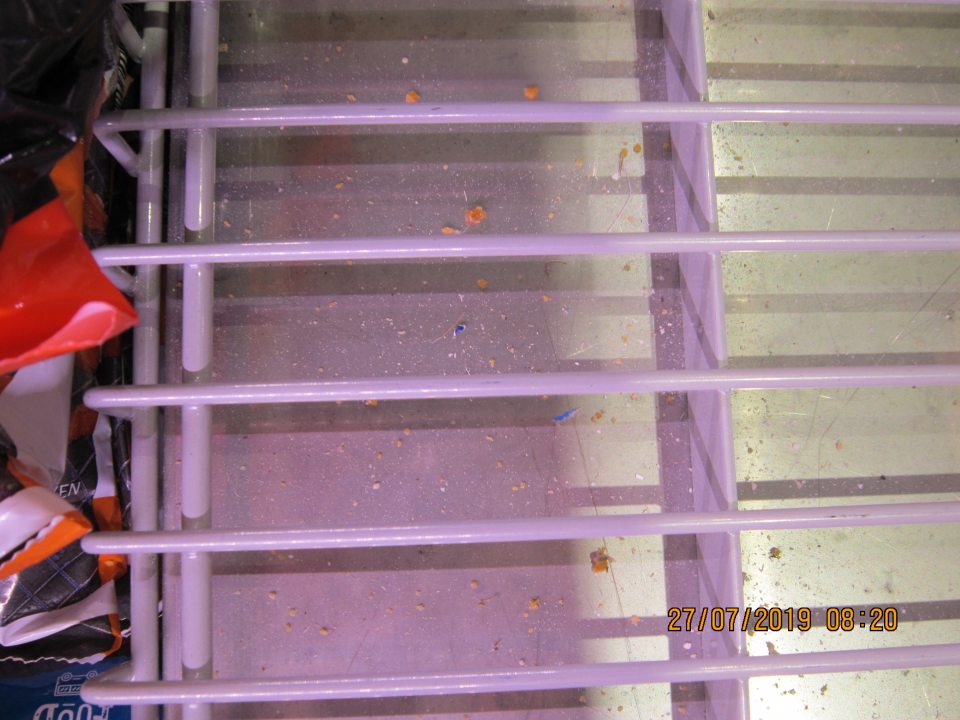 Na predajnej ploche v mraziacom boxe napadané drobné nečistoty a zvyšky potravín. 