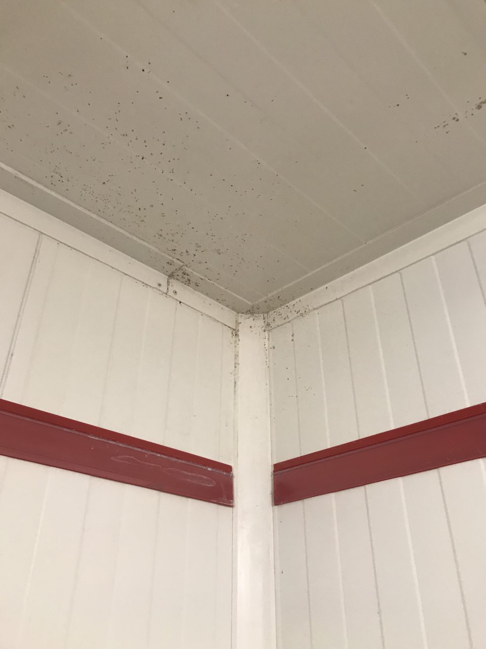 Znečistená časť stropu v sklade s čerstvým mäsom