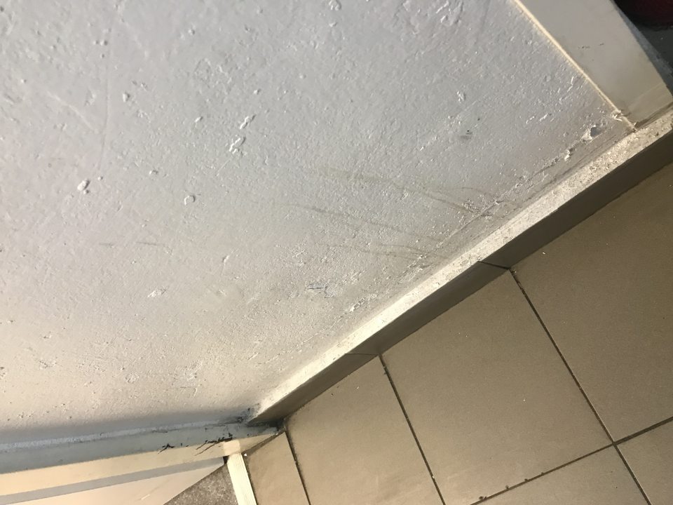 Zázemie - poškodený náter stien v miestnosti dopeku a pri vstupe do skladu potravín