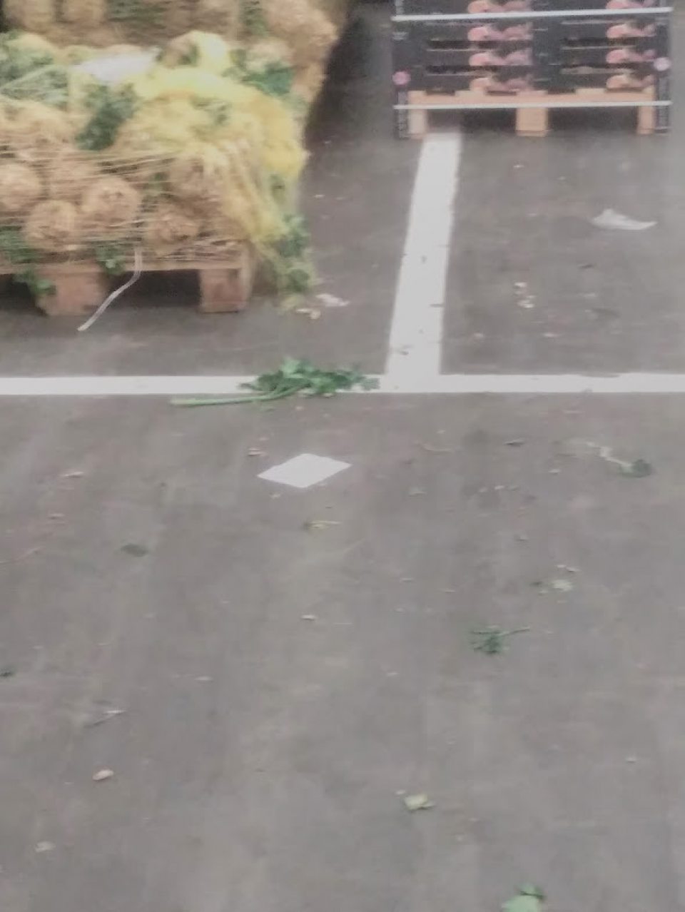 Znečistená podlaha v sklade ovocia-zeleniny