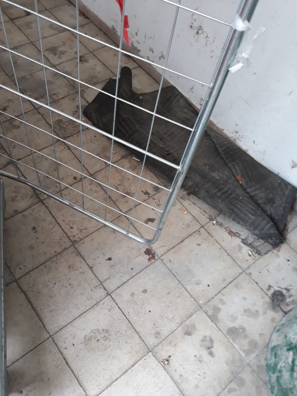 - Neporiadok na vonkajšej rampe príjmu tovaru