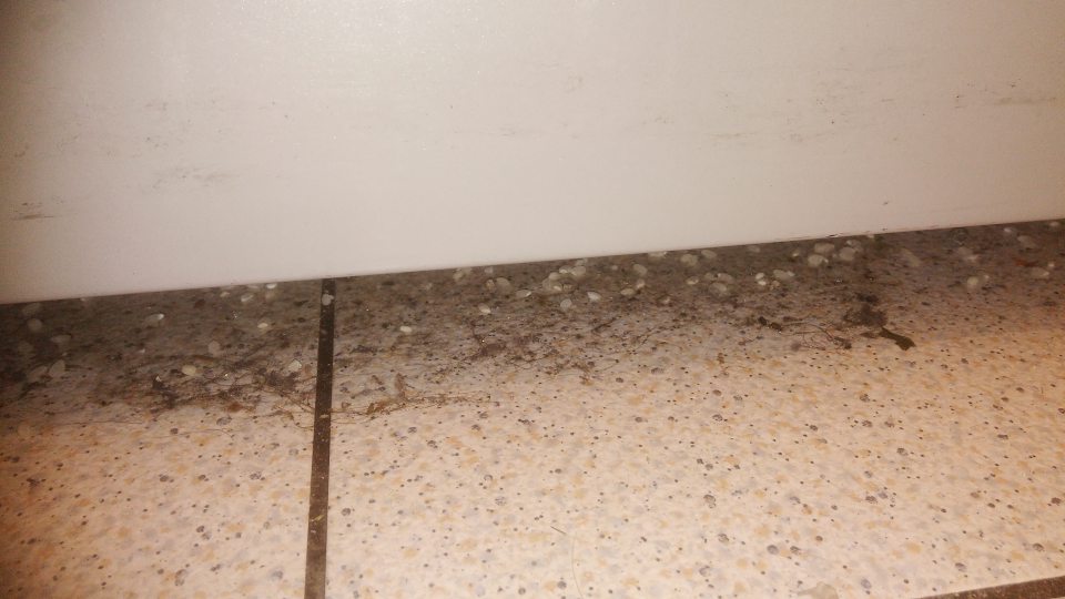 Predajná plocha - príručný sklad - nečistoty na podlahe pod regálmi z ich zadnej strany