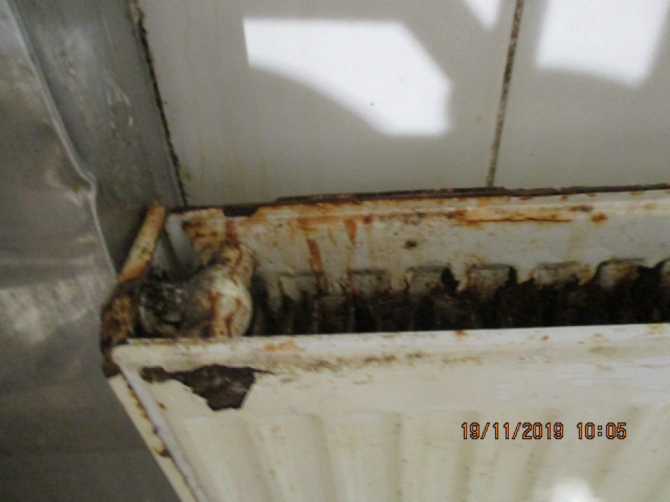 Výskyt korózie radiátorov v kysiarni.