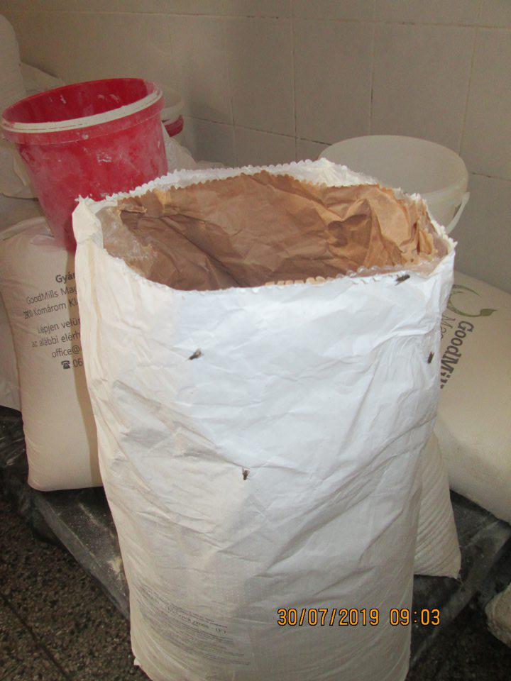  Výskyt múch vo výrobni jemného pečiva a vo výrobni knedlí. 