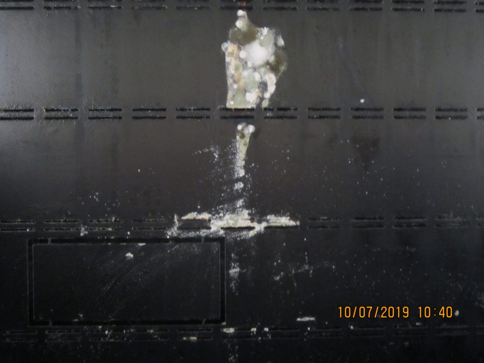 Výskyt plesní v chladiacej vitríne mliečnych výrobkov. 