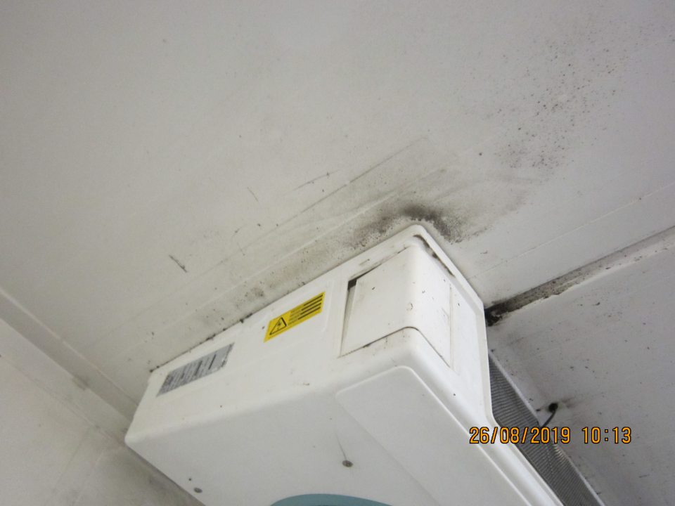 V sklade s čerstvým ovocím čiernou plesňou znečistený strop v okolí chladiaceho agregátu.