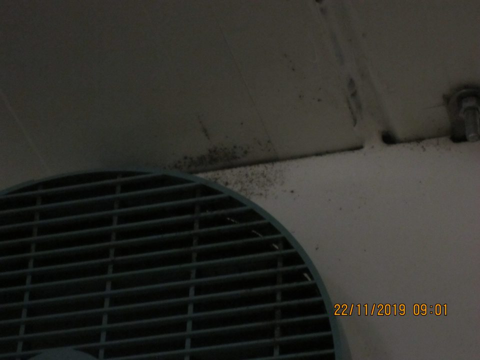  V sklade mliečnych výrobkov je čiernou plesňou znečistený strop v okolí chladiaceho agregátu a znečistená mriežka agregátu.