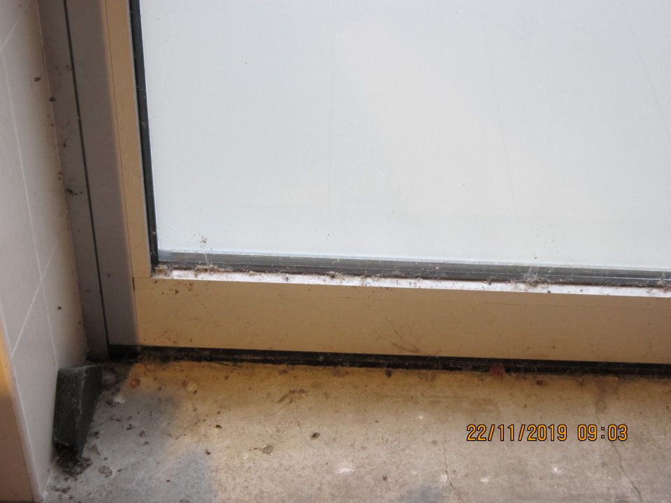 Dvere medzi chladiacou vitrínou s mliečnymi výrobkami a chladiacou vitrínou s mäsovými výrobkami sú znečistené hrubou vrstvou prachu a pavučinami. 