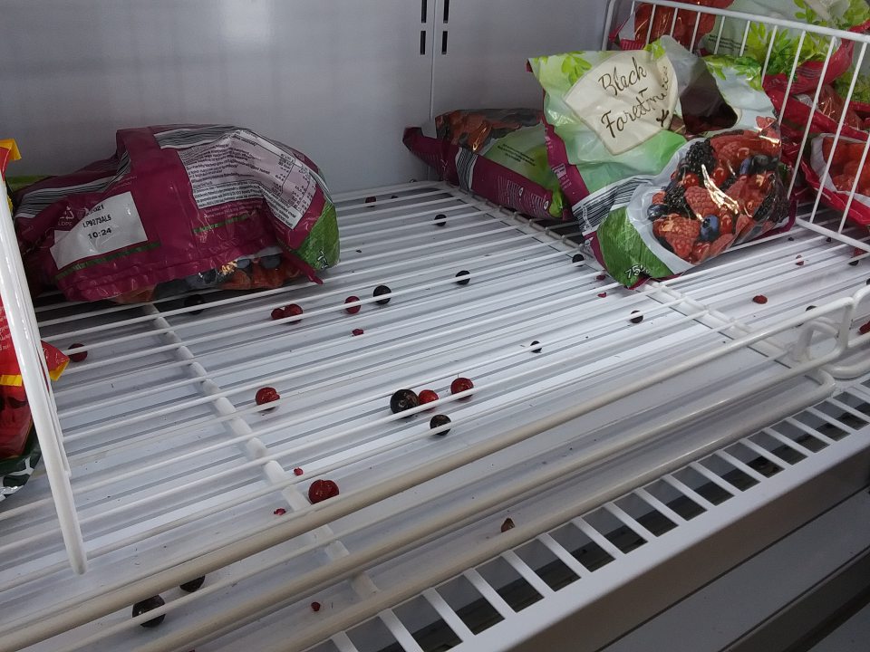 V mraziacom zariadení s hlbokozmrazeným ovocím bolo zistené rozsypané ovocie.