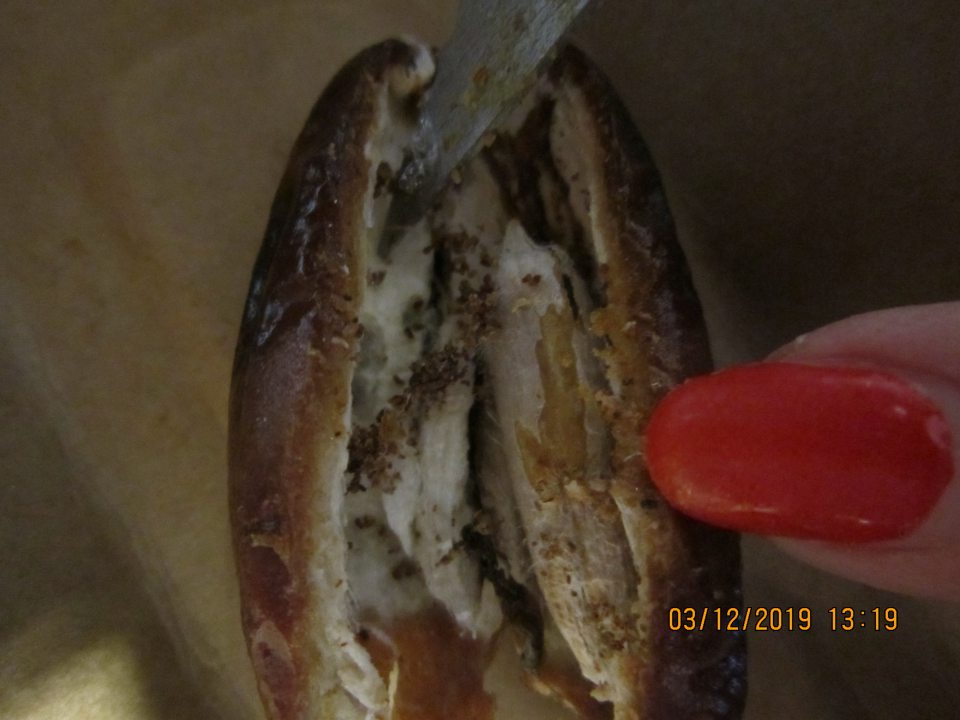 Výskyt škodcov v rôznom štádiu vývoja.