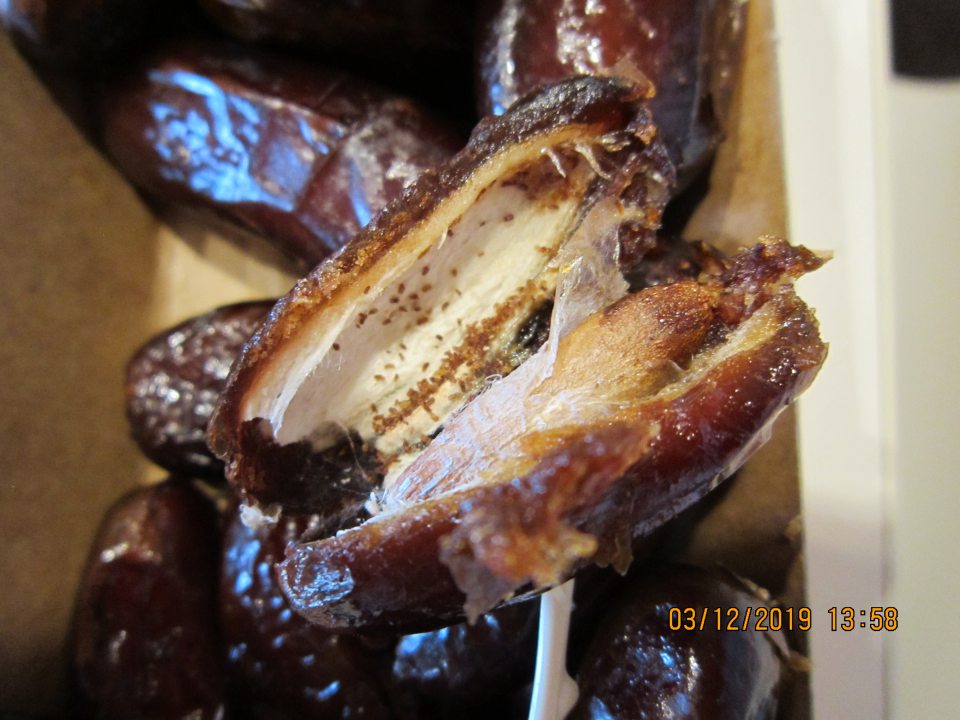 Výskyt škodcov v rôznom štádiu vývoja.